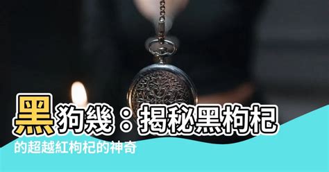 黑狗幾|【黑狗幾】黑枸杞的功效與作用：比紅枸杞更勝一籌？